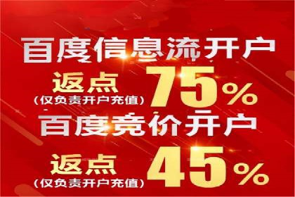 百度竞价SEM的优化策略：从案例看效果提升